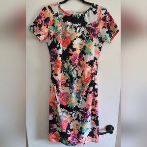 Pinkblush Maternity Dress